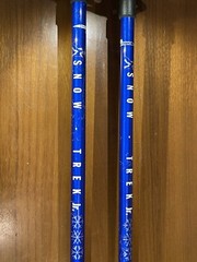 Blue L.L. Bean Retractable Snow Trek Jr Hiking Stick (Pre Owned)