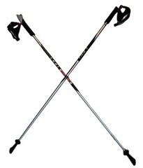 LEKI Nordic Walking Pacer Ultra Lightweight HM Carbon 105cm Silver