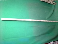 NEW MEXICO YUCCA PLANT FLOWER STALK FOR HIKING STICK UNFINISHED 5 ‘ TALL 14 OZ