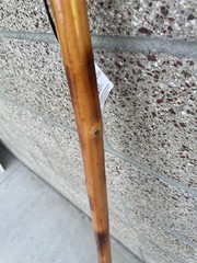 Wood Hiking Stick SE Root Wood 55″ Hiking Stick NWT WS631-52RH