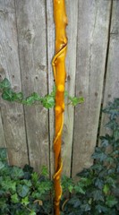 43″ Hand Carved Spiral Mulberry Walking Stick Cane w/ Brass Skull Top Handle #28
