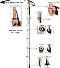 Adjustable Lightweight Trekking Pole – Collapsible Hiking Stick, 1-pc Pack