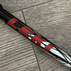 1 Leki Single Trekking Pole 135 cm Soft Anti-Shock Extendable Hiking Walking Rt