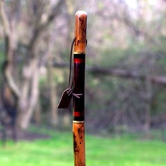 Walking Stick Hickory Traditional Safari Style Handle 55″ for Men & Women