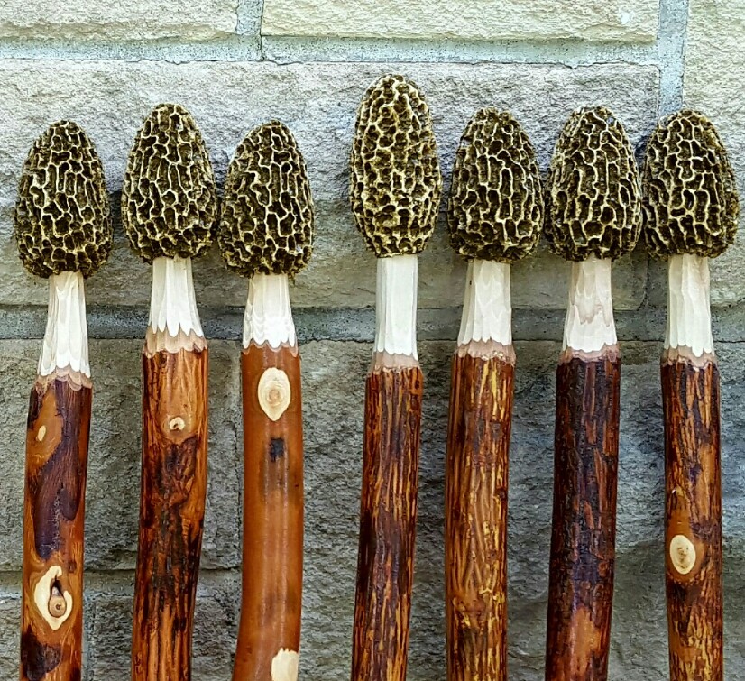 Morel Mushroom Hiking Stick lot of 2