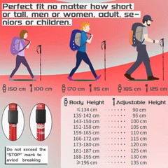 Pair of Hiking Trekking Poles Walking Sticks Alpenstock Telescopic Anti-Shock
