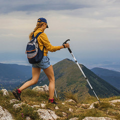 2X Trekking Poles Nordic Walking Sticks Adjustable Anti-shock Hiking Alpenstock