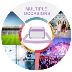 Clear Bag for Stadium Events Clear Purse Small Avocado Green-light Purple