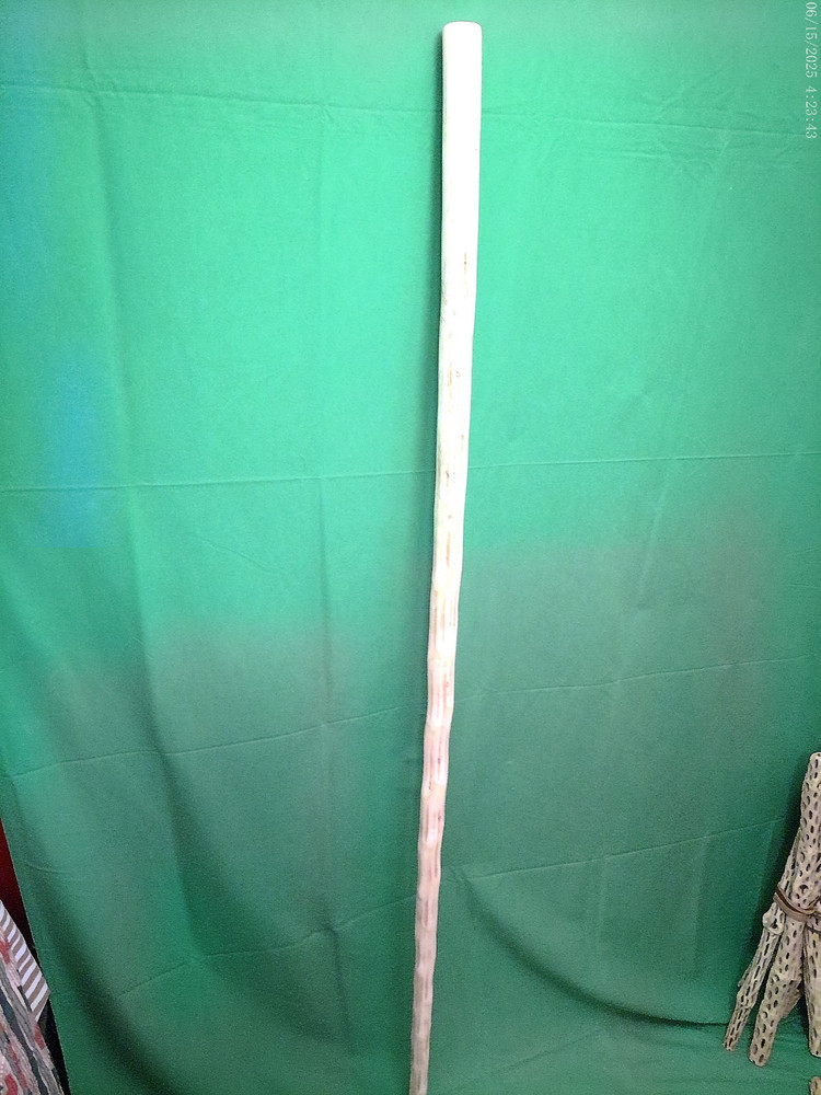 NEW MEXICO YUCCA PLANT FLOWER STALK FOR HIKING STICK UNFINISHED 5 ‘ TALL 14 OZ