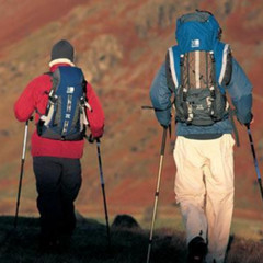 2X Trekking Poles Nordic Walking Sticks Adjustable Anti-shock Hiking Alpenstock