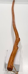 Brazos Handcrafted Free-Form Hawthorn Wood Walking Stick – 43.5″ Hiking Cane