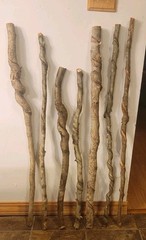 BEAUTIFUL!! Set of 7 FRESH Cut Vine Twisted Stick with Bark~ Read Description