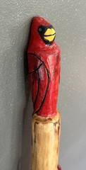 Hiking Stick with carved cardinal carved top- 50”-, paracord grip/wrist strap