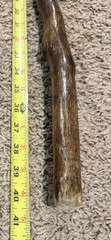 Hand Carved Hiking Stick Trekking Walking Cane Staff Folk Art Approx. 41.5”