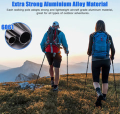 1 Lightweight Trekking Pole Quick Lock Walking Hiking Sticks Nordic Collapsible