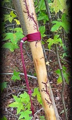 60” WALKING Stick ~Crepe Myrtle~Fractal Burned Handmade & Finished 🇺🇸