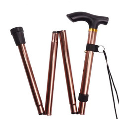 Telescopic Walking Stick Outdoor Hiking Trekking Poles Aluminum Alloy Metal Fold