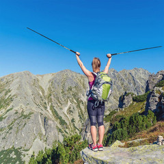2PC Trekking Poles Nordic Walking Hiking Sticks Anti-shock Adjustable Alpenstock