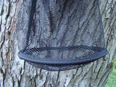 Morel Mushroom Expandable Bucket Deluxe Wholesale lot Of 20