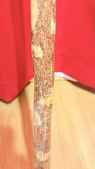 49 inch Whistle Creek Wooden Hiking Stick ~ Wood Walking Cane Made In USA