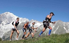 Trekking Poles Walking Hiking Sticks Anti-shock Adjustable Alpenstock
