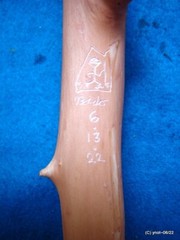 handcrafted WALKING/HIKING STICK spiky apple w/leather Deer Antler Burr Handle