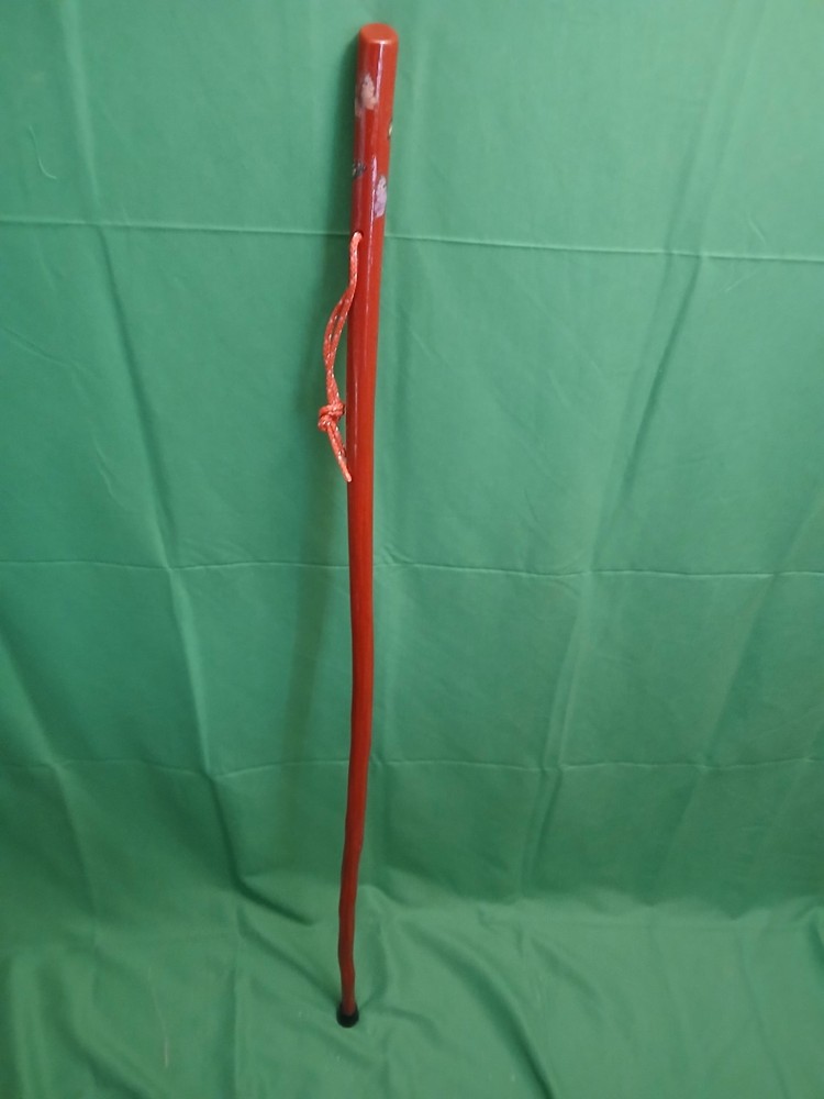 HIKING/WALKING/TREKING STICK MADE FROM NM YUCCA PLANT 48″ tall only 8.2 OZ
