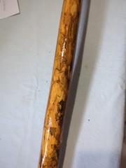 Natural Twisted Wooden Walking Hiking Stick Cane 50″