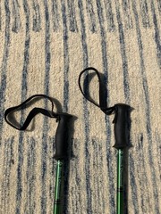 Black Diamond Switchback Trekking Poles