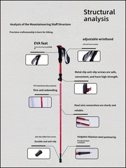 [1+1 Set] Lightweight Collapsible Trekking Poles