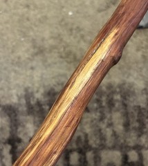 54” Natural Vine Twisted Dogwood Walking Stick Cane Wood Staff Trekking 4” Grip