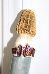 Custom Made Red Oak Walking Hiking Stick with Antler Morel Carving on Top