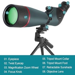 20-60×80 Spotting Scopes for Bird Watching, BAK4 Waterproof Spotting Dark Green