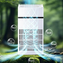 Portable Air Purifier USB Powered HEPA Filter with Activated Carbon for Travel