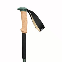 Black Diamond Trail Cork Trekking Poles, Fig