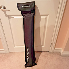 Step2Gold Ta-Da Chair Series 2 Walking Stick Cane with Foldable Seat-Red-300 LBS