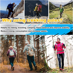 Aluminum Alloy Quick Lock Trekking Pole Anti Shock Walking Stick Collapsible