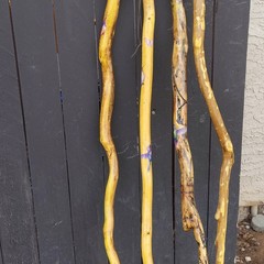 Handcrafted Wood Hiking Walking Stick Lot of 4 Brown/Yellow Unisex Adults