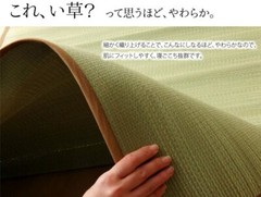 Japan High quality [Goza] Comfortable and Cool 80x170cm from Japan 4223