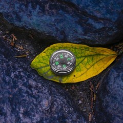 12pcs Outdoor Plastic Compass 20mm For Hiking Camping Survival Navigation Kit