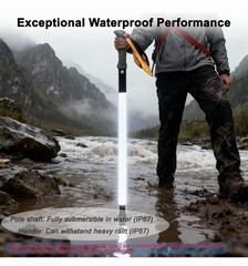 Walking Stick with LED Light for Night Climb, Recharged Glowing Travel Trekki…