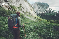 Big Ball Head Twisted Style Wooden Walking Stick for Hiking with Compass (Nature