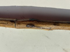Walking Stick With Whistle And Compass That Unscrews Into Three Pieces