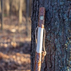 Twisted Sassafras Walking Stick Handcrafted Wooden Hiking Staff USA Made 48 Inch