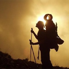 Trekking Poles Shock Absorbing Adjustable Hiking or Walking Sticks for Hiking