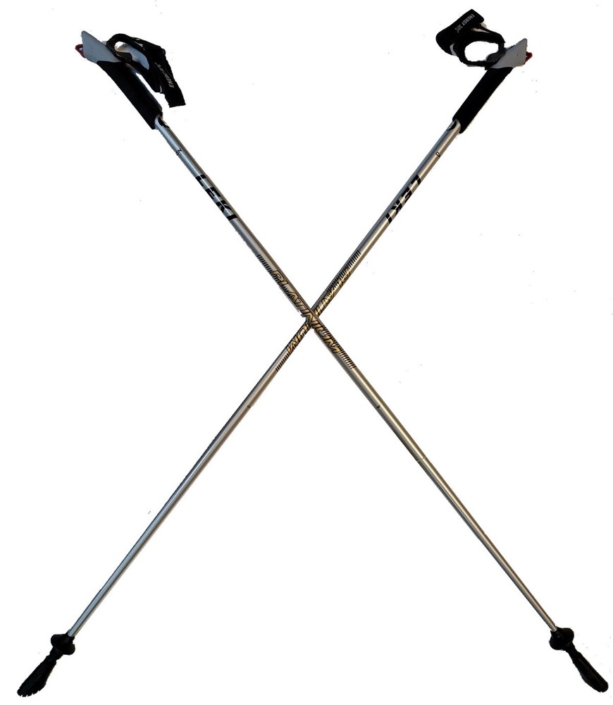 LEKI Nordic Walking Platinium Carbon Series 115cm Silver