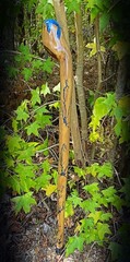 Walking Stick Fractal Lichtenberg With Epoxy Burl Top Handmade & Finished