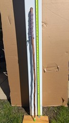45″ Hiking Stick w/ Red White and Blue Cord Grip