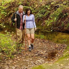 Walking Stick Hickory Traditional Safari Style Handle 55″ for Men & Women