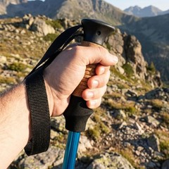 Cane Handle Grip Replacement Walking Canes Grip with Wrist Strap Trekking Poles